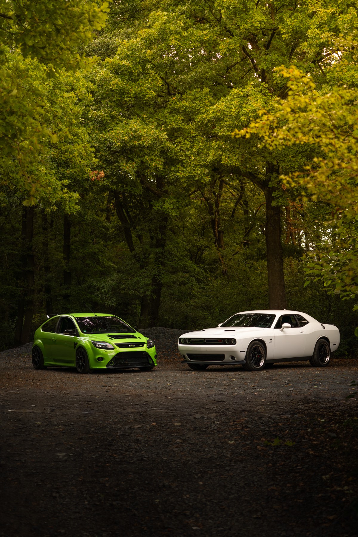 Grüner Ford Focus RS und weißer Dodge Challenger auf einem Waldparkplatz